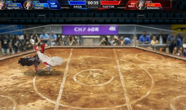 Bí Kíp Chơi Đá Gà 3D Tại V999 Chinh Phục Mọi Kèo Cược 2 Giao diện chơi Đá Gà 3D Tại V999