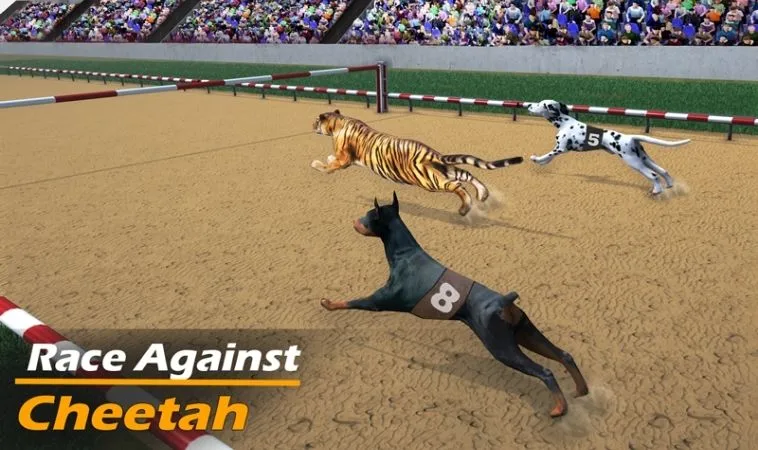 Chinh Phục Đua Chó V999 Cách Chơi Thắng Lớn Siêu Tốc 2 Cách chơi game nhanh Đua Chó V999