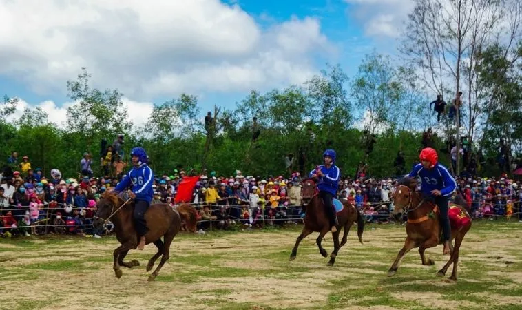 Cần tìm hiểu kỹ về bộ môn Đua Ngựa V999 trước khi cá cược